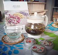 ワークショップ